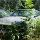 Illustration for article titled A Michigan Town Is Forcing This Man To Sell 20 Old Cars Off His Property Every Month